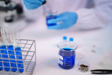 Yetişkin bilim adamı titizlikle kimyasal analiz yapıyor. Damla şişesiyle tam sıvı transferi. Test tüpleri mavi çözelti araştırma laboratuvarı ortamı.