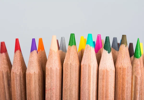 Lápices multicolores aislados sobre fondo blanco — Foto de Stock