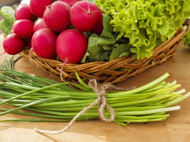 Bahar sebze sepeti: turp, salatalık, frenk soğanı 