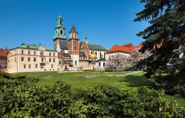 Katedral Krakow Polonya Wawel tepe üzerinde görüntüleyin