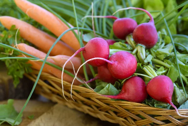 Bahar sebze sepeti: turp, havuç ve Frenk soğanı