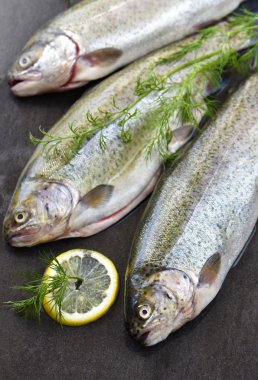 Otlar ve limon, yemek pişirmek için hazır ile taş bir gemide ham gökkuşağı alabalık