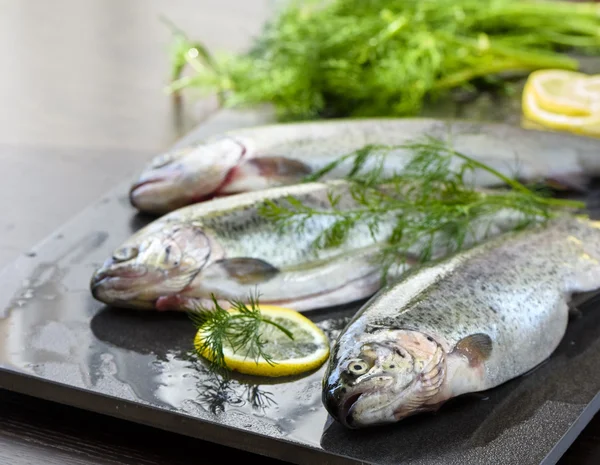 Rohe Regenbogenforellen auf einem Steinbrett mit Kräutern und Zitrone, fertig zum Kochen — Stockfoto