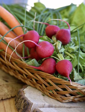 Bahar sebze sepeti: turp, havuç ve Frenk soğanı