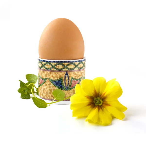 Easter egg in egg cup with flower — Stock Photo, Image