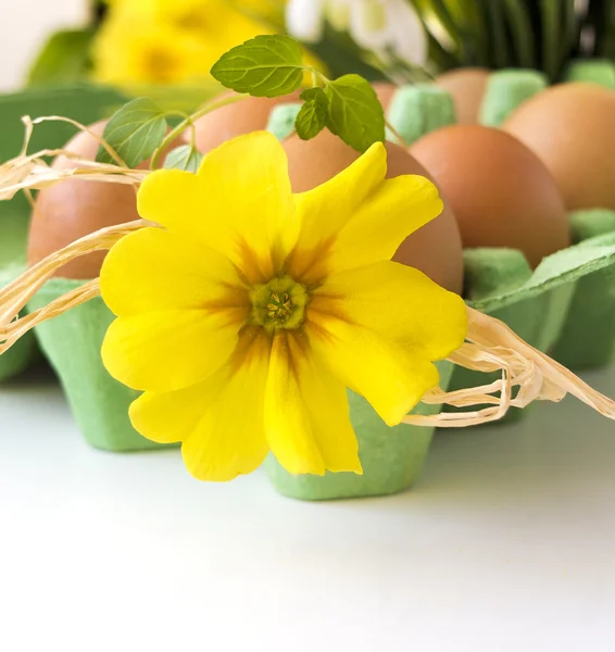 Ovos de Páscoa com flor — Fotografia de Stock