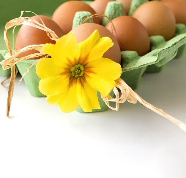 Ovos de Páscoa com flor — Fotografia de Stock