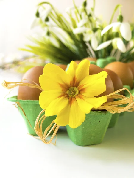 Cartão de Páscoa - ovos em container com flor — Fotografia de Stock