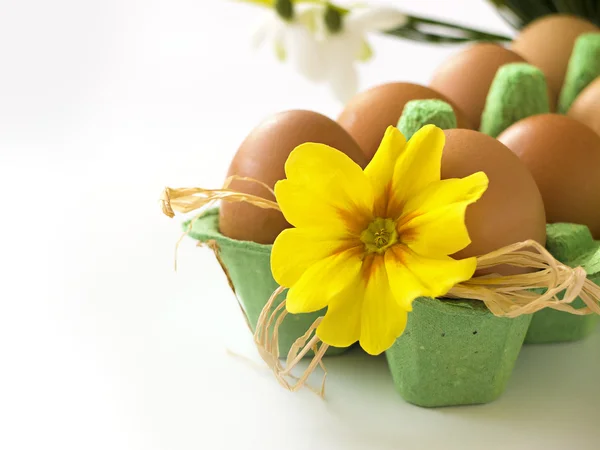 复活节贺卡-鸡蛋花容器中 — 图库照片