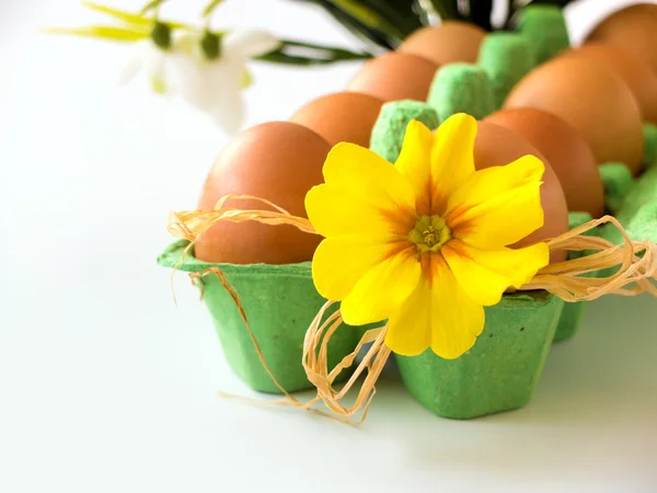 Kartkę z życzeniami Wielkanoc - jaja w pojemniku z kwiatem — Zdjęcie stockowe