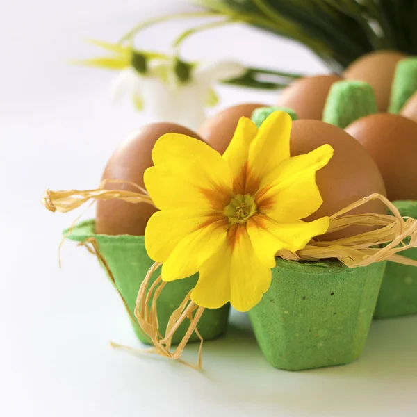 Kartka Wielkanocna - jaja w pojemniku z kwiatem — Zdjęcie stockowe