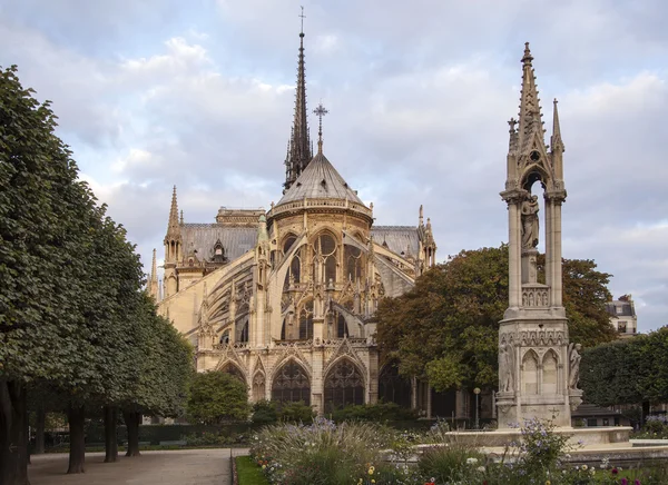 Notre Dame w Paryżu — Zdjęcie stockowe