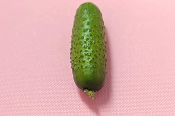 Foto Mostra Uma Imagem Com Produto Fresco Este Pequeno Pepino — Fotografia de Stock