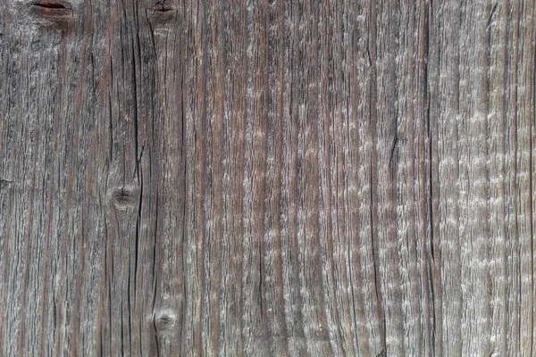 In a photo with a horizontal orientation, the image of a graphic resource from a tree is used as a background or texture. This is a close-up tablet