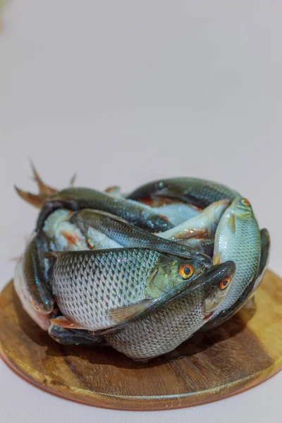 Foto Mostra Uma Imagem Peixe Rio Uma Forma Comprimida Congelada — Fotografia de Stock