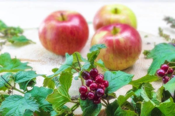 The photo shows an image of a composition of red viburnum, lemon balm and apples. Three apples are lying on a wooden stand, around the bushes with viburnum and dry melissa