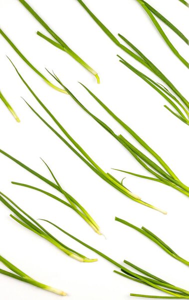 The photo shows an image of one type of food. This is a green onion bought in a store. The onion is whole, lies in a collected bundle