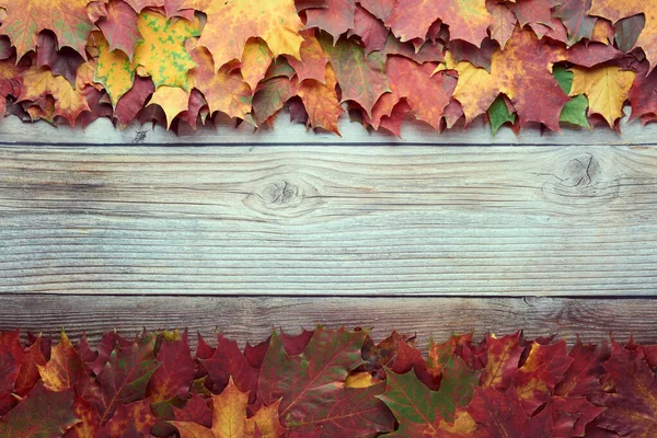 Border frame of colorful autumn leaves isolated on wooden background. Autumn, fall, thanksgiving day, nature concept. Flat lay, top view, copy space.