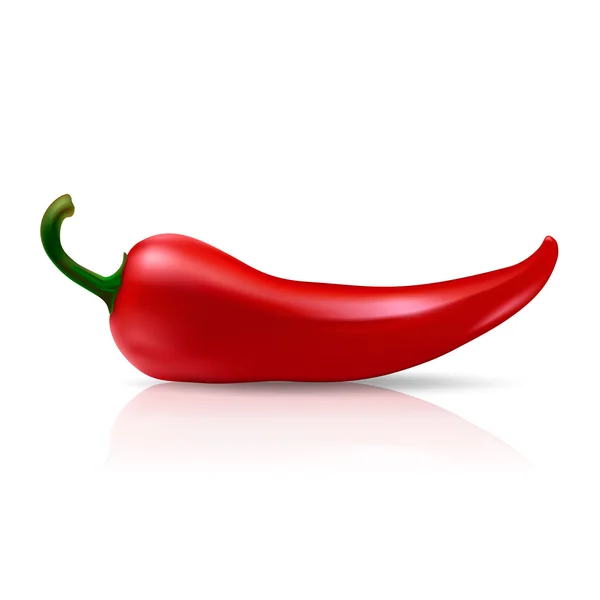 Vektorové červené chilli pepper — Stockový vektor