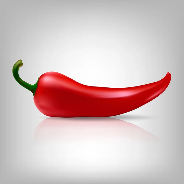 Vektorové červené chilli pepper — Stockový vektor