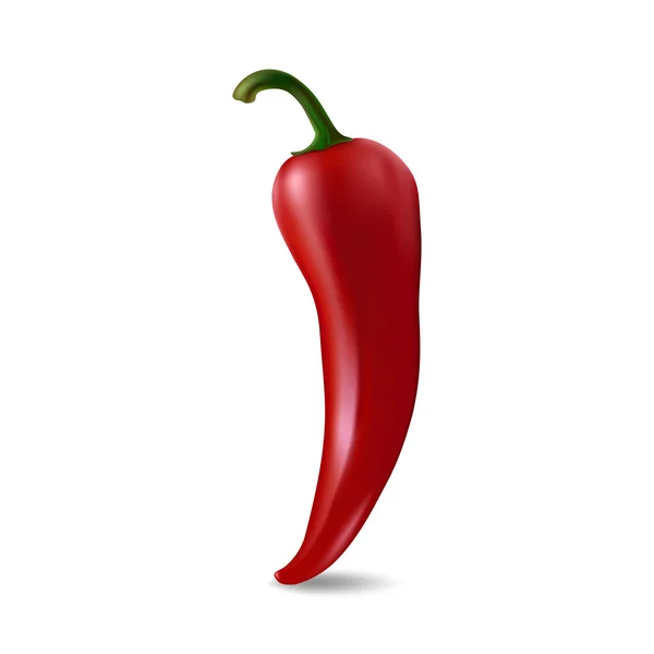 Vector röd chili peppar — Stock vektor
