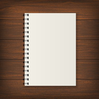 Gerçekçi vektör defter