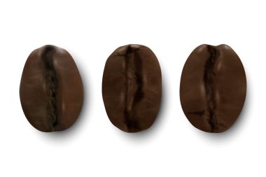 Vector 3d Realistic Coffee Beans. Textured Roasted Coffee Bean Icon Set Closeup Isolated on White Background Top View