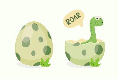 Küçük Dino. Yumurtadan çıkan küçük dinozor bebek, çocuk, çocuk. Diplodocus, Dinozor Yumurtası. Çizgi film Brontosaurus. Vektör Sevimli ve Komik Çizgi El Dinazor, Çocuk Resimleri, Çocuklar için Parmak izi, Kart
