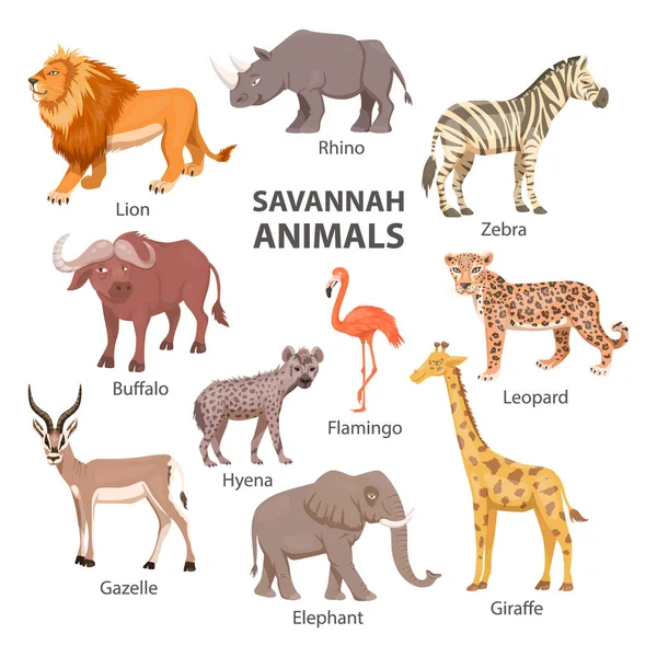 African Savannah Wild Animal Set. León, rinoceronte, cebra, búfalo, jirafa, flamenco, leopardo, gacela, elefante, hiena. Ilustración de vectores planos. Animales de África. Concepto Savannh Safari — Vector de stock