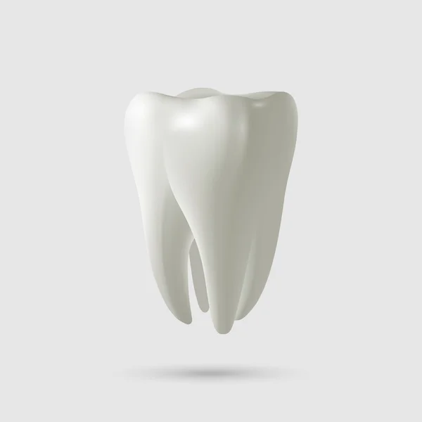 Tooth isolated on white. Vector illustration. — Stock Vector