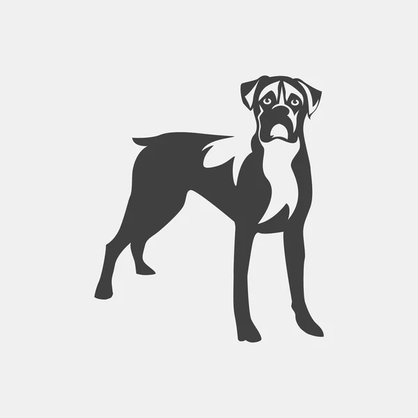 Köpek boxer — Stok Vektör