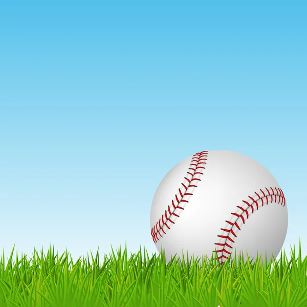 Baseball on green grass. Vector background. — Stock Vector