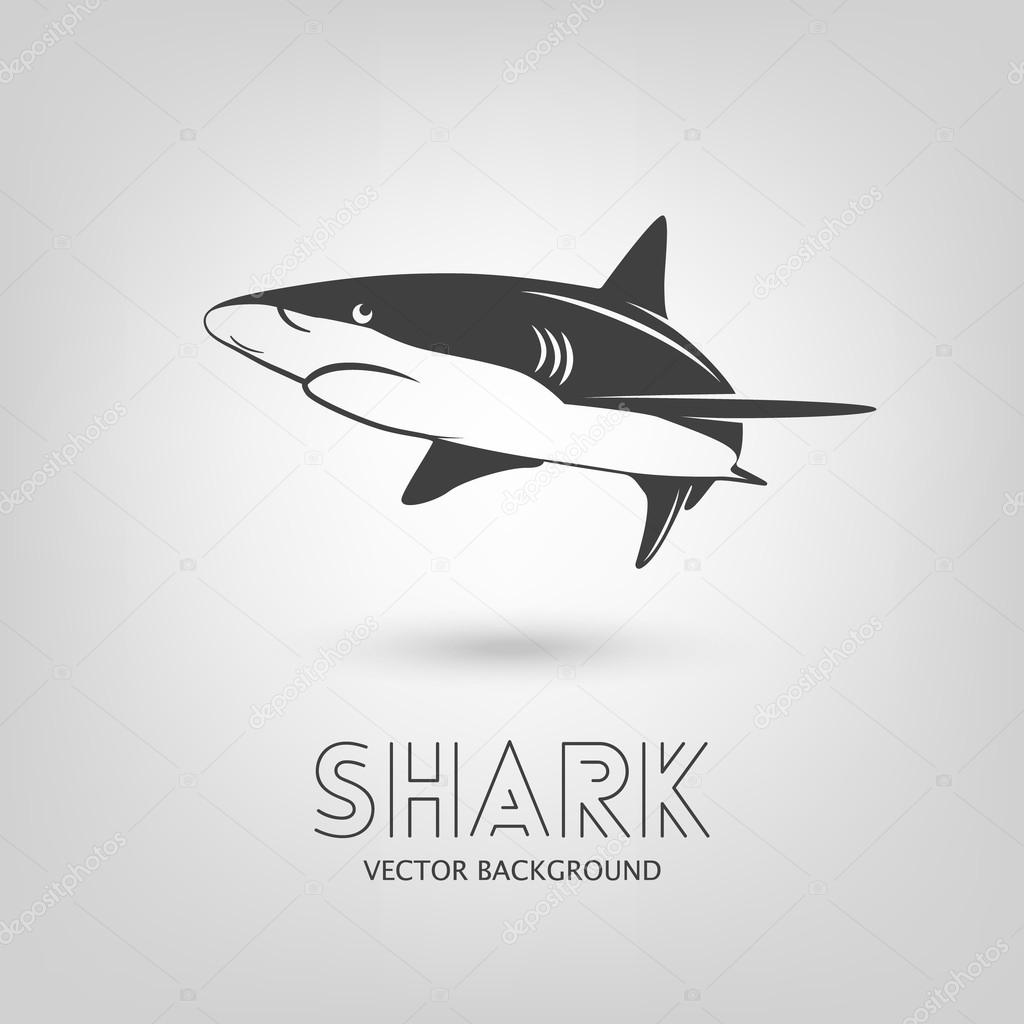 Shark logo