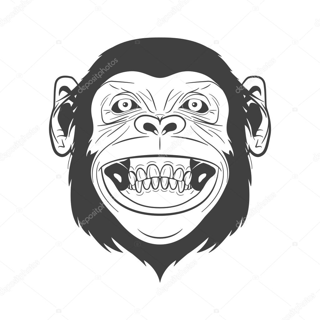 Monochrome monkey head isolated on white background. Vector EPS8 illustration