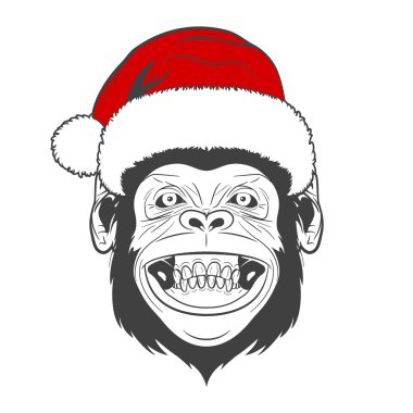 Noel Baba şapkası ile maymun