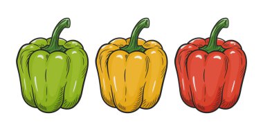 Çizgi film Vector Bell Biber Sebzeleri. Bell Pepper Clipart, Bell Pepper Vector. Yeşil sarı kırmızı biber seti. Şirin Çizgi Film Yemek Simgesi, Mutfak Malzemeleri İllüstrasyonu İzole Edildi.