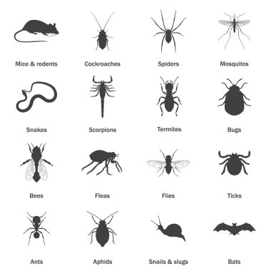 Pest and insect control icons set. clipart