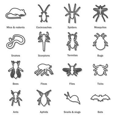 Haşere ve böcek kontrol Icons set.