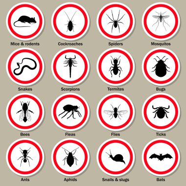 Haşere ve böcek kontrol Icons set.