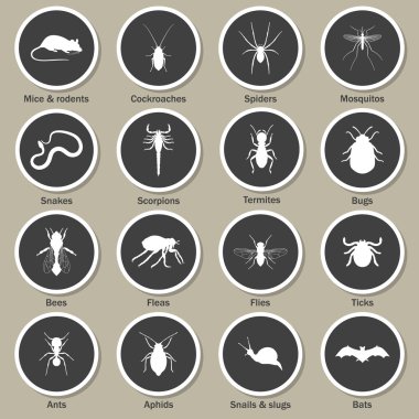 Haşere ve böcek kontrol Icons set.
