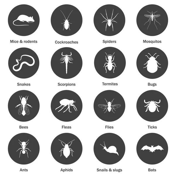 Ensemble d'icônes de lutte contre les insectes et les ravageurs . — Image vectorielle