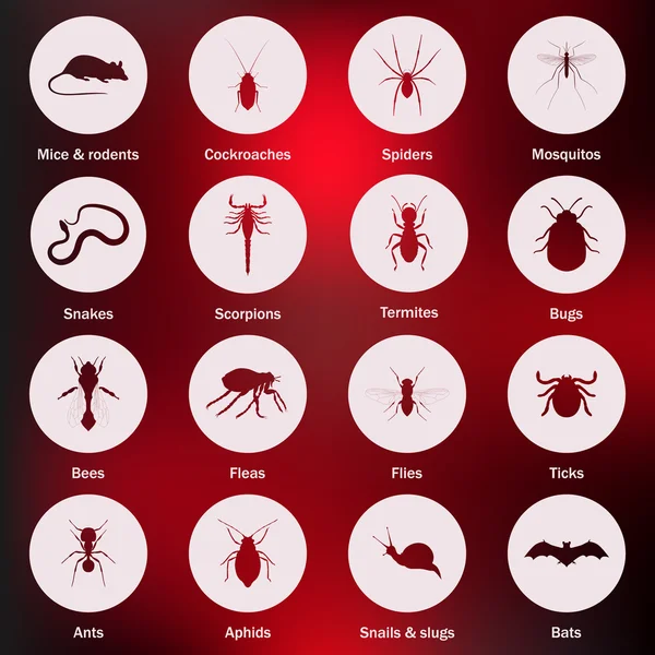 Ensemble d'icônes de lutte contre les insectes et les ravageurs . — Image vectorielle