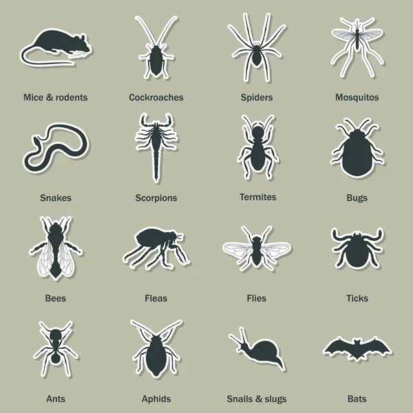 Conjunto de iconos de control de plagas e insectos . — Vector de stock