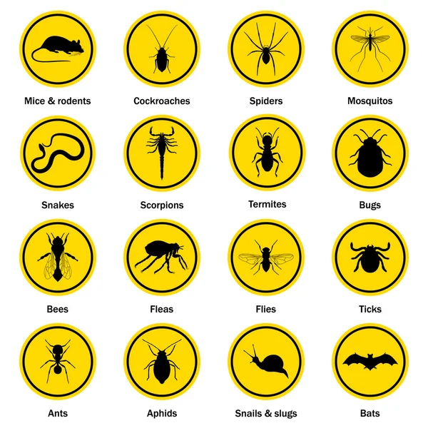 Conjunto de ícones de controle de pragas e insetos . — Vetor de Stock
