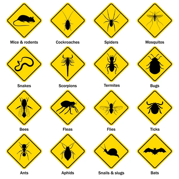 Conjunto de iconos de control de plagas e insectos . — Vector de stock