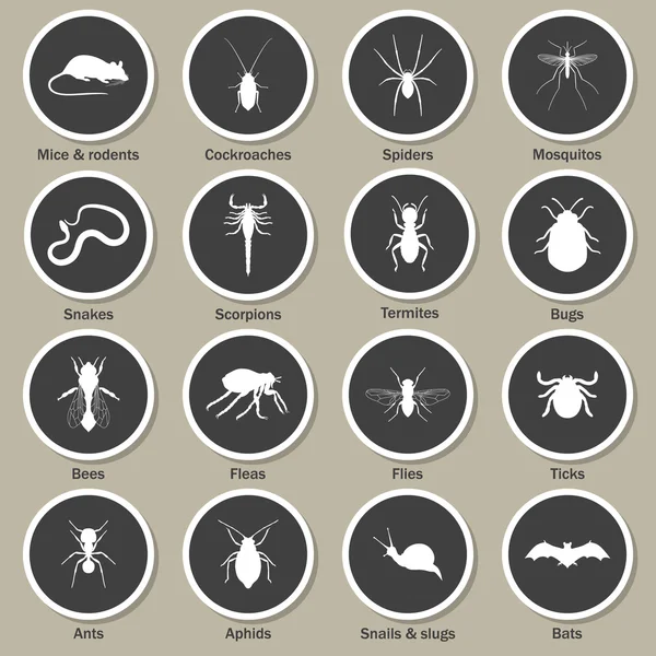 Conjunto de iconos de control de plagas e insectos . — Vector de stock