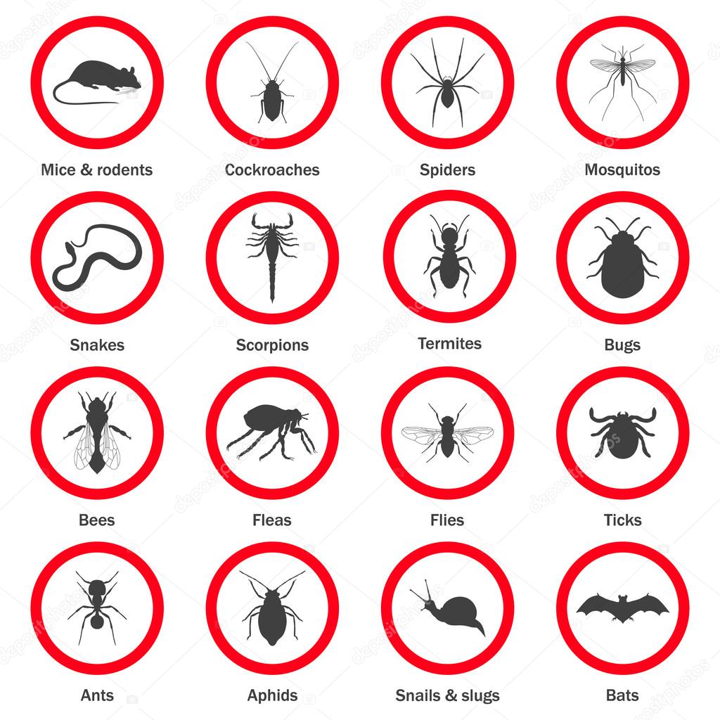 Pest and insect control icons set.