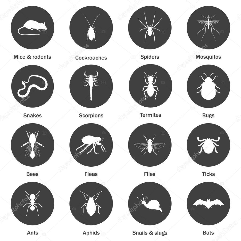 ᐈ Pest Control Icons Stock Icon Royalty Free Pest Control Vectors Download On Depositphotos