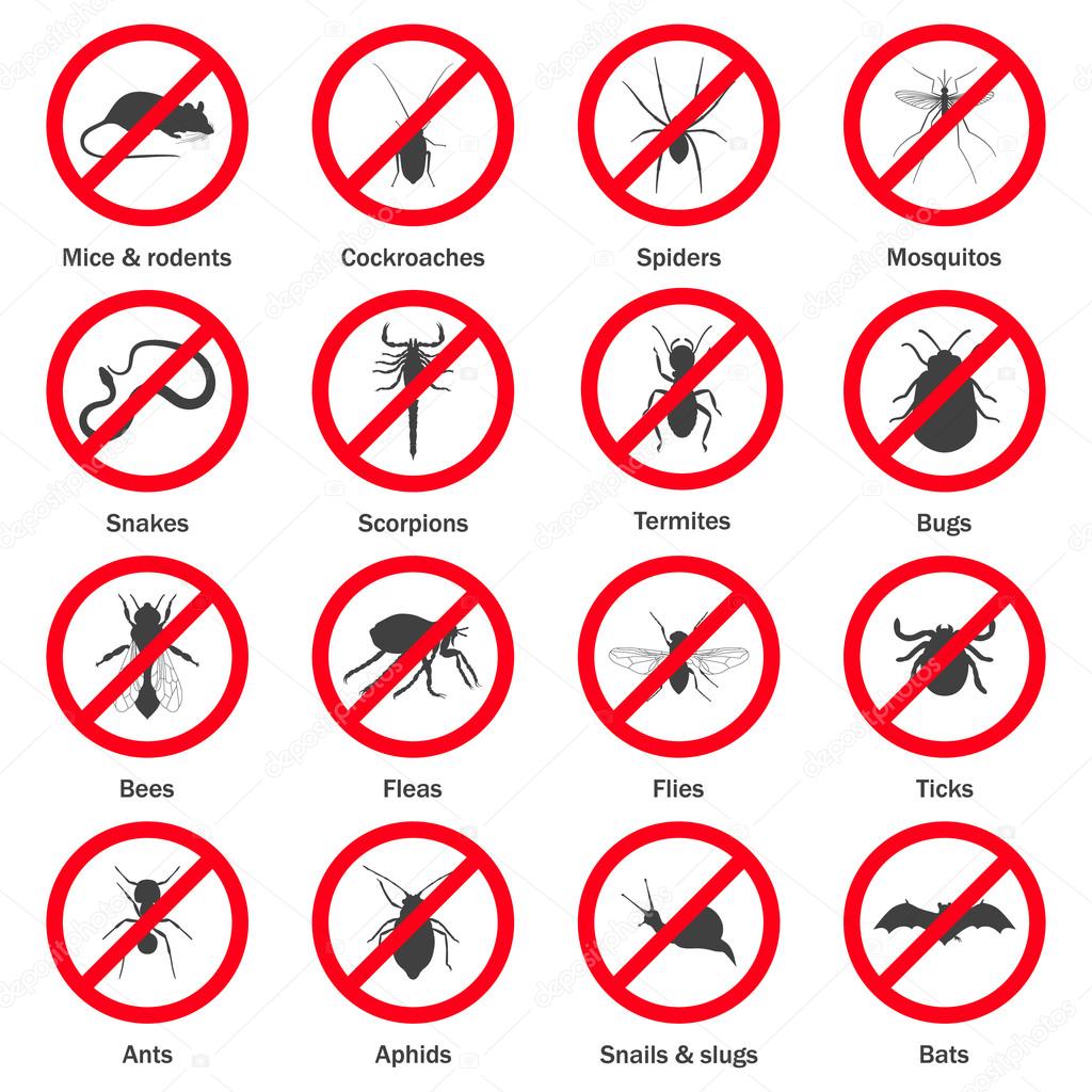 Pest and insect control icons set.