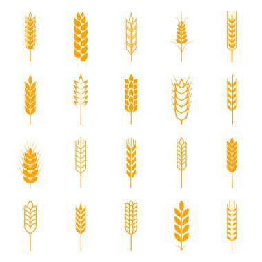 Set of simple wheat ears icons clipart